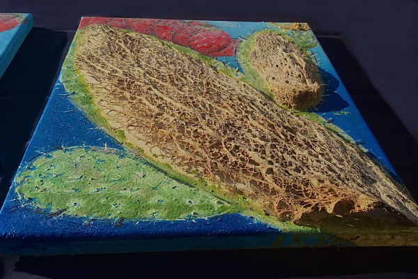 img-20220411-100451AE377DB7-3E92-5982-36E1-7F977D2FA664.png