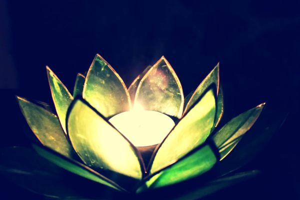 img-20221119-022131B6DD9A2B-1F39-35C4-E693-E223EC62EFB9.jpg